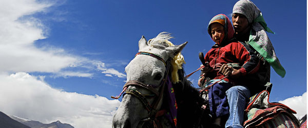 Randonn�e � cheval. Chevauch�e himalayenne, Ladakh, Inde