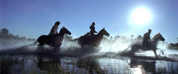 SENEGAL - Randonnée équestre, voyage à cheval dans le Delta du Saloum -  Rando Cheval