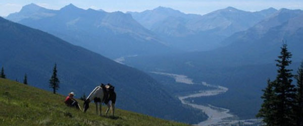 RandonnÃ©e Ã  cheval sur le Continental Divide de Kananaskis, Alberta, Canada.
