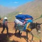 Rando cheval au Maroc Djebel Toubkal